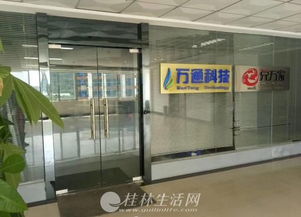 數(shù)字化時代的核心驅(qū)動力 計算機軟硬件技術(shù)開發(fā)與綜合服務(wù)